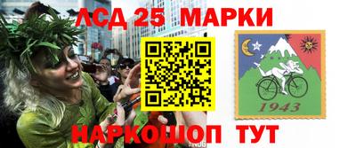 шишки Нальчик